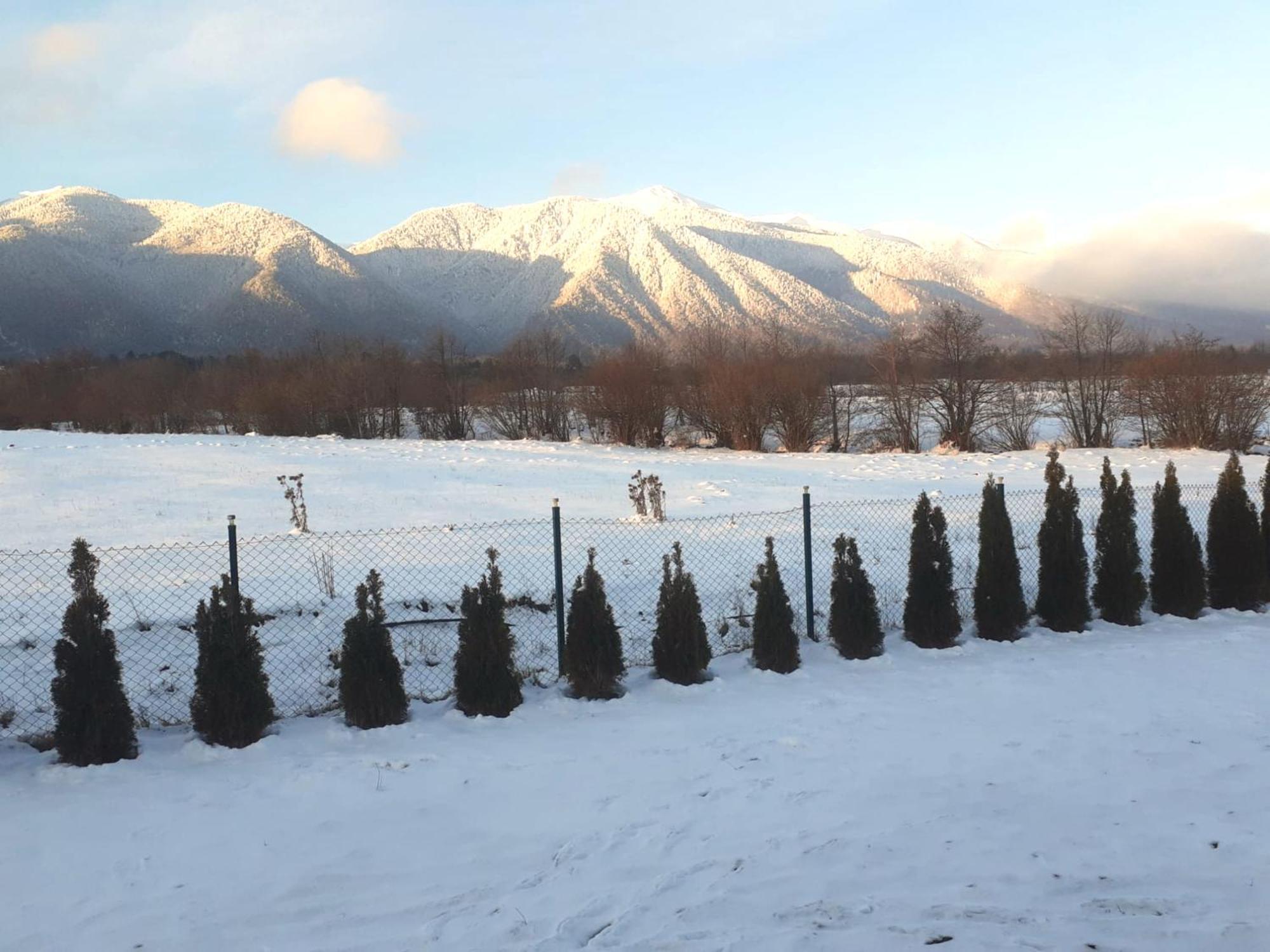 Villa Letizia Near The Pirin Golf Resort Bansko Luaran gambar